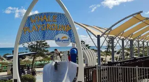 Ocean View-breath Taking Views, Amazing Facilities - Image 5