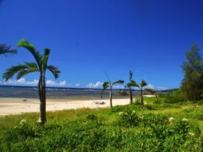 Private Villa The Beach AMAMI - Image 5