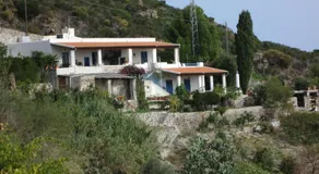 Pomelia - Image 4