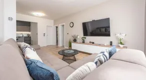 Luxe Holiday Home - Image 2