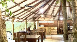 Birds Paradise Inn - Image 4
