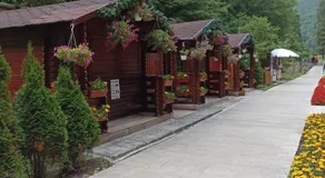 Montana Slănic - Image 4