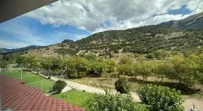 Μούσες - Image 5