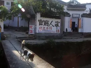 Wuyuan Qingyuan Guanting Guest House - Image 3