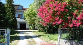 Bianco Nuvola - Image 5