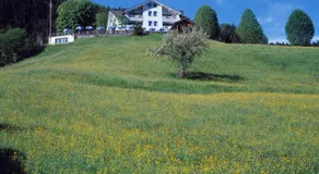 Panorama Hotel Freudenberg - Image 4