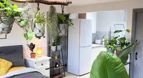 Aplanty Studio in the Orchard - Image 2
