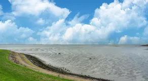 Holiday Home in Zeeland near Nature Reserve - Image 5
