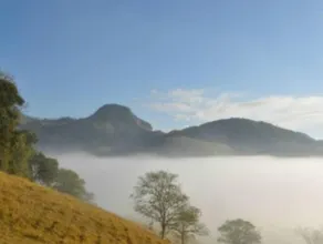 Pousada Caminho da Mata - Image 3