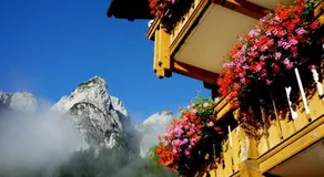 Gasthof Gosausee - Image 4