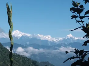 Kolakham - The Himalayan Retreat - Image 3