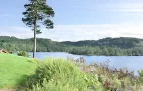 Great Holiday Apartment - Øyslebø - Image 5