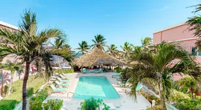 Saponaria 21-22 at Caribe Island Gold Standard Certified - Image 3