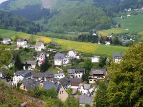 Helle Wohnung bei Willingen mit Terrasse - Image 4