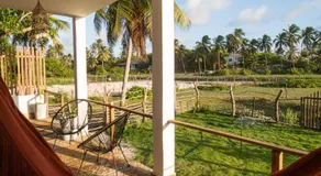 Jandaia Atins - Image 5
