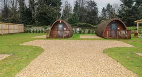 Charlottes - Image 5
