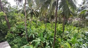 George Homestay Ujire Dharmastala - Image 2