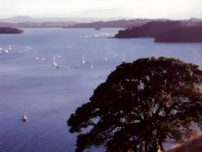 Mahurangi West Wing - Luxury Bed and Breakfast - Image 3