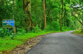 Forest View Homestay ,Your 2nd home away from City - Image 2