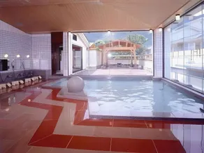 Shikino Yado Minoya Hotel - Image 3