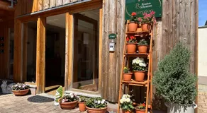 Pension Schramm - Image 3