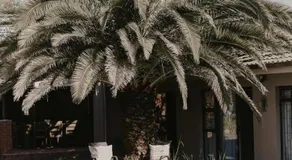Villa Rose Guesthouse & Venue - Image 3