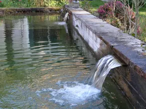 Jardin de Canaan - Image 5
