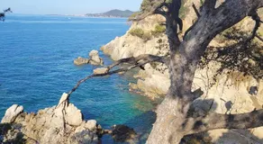 Delante del Mar - Image 5