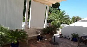 Palm tree villa - Image 5