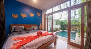 Dolphin Tour Private Villa Packet At Seririt - Image 2