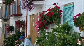 Calle Horno - Image 5