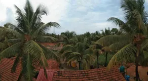 Alpha Homestay - Image 5