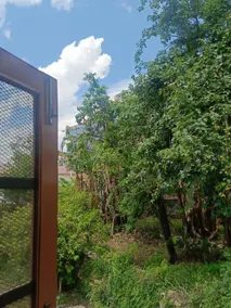 Old Mountain Home - Image 5
