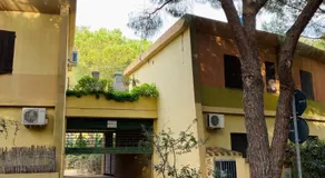 Rainbow House Pinus Village - Image 5