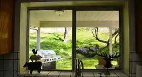 Blue Jay Paradise - Image 5