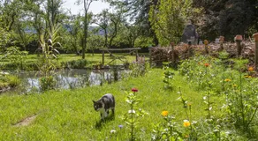 Chambres d'hôtes Domaine des Iris - Image 5
