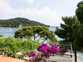 Apartments Franka Saplunara - Image 2