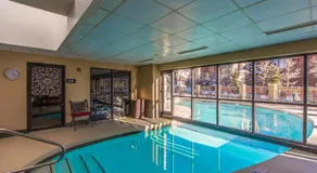 Cozy Pet-Friendly King Studio in Mt, Crested Butte condo - Image 2