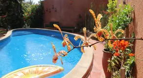 Maison Sahel - African Art & Coastal Serenity - Image 3