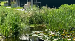 STADE LAND GOLF HOTEL & Tiny Houses - Image 5