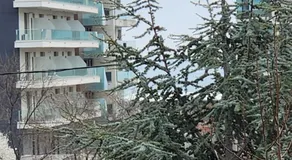 Mamaia Nord Apartment - Image 5