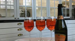 Chateau d Artigues en Provence - Image 5