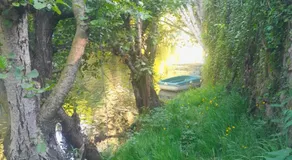 La Suzanne - Image 5