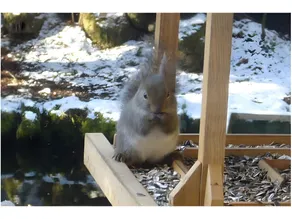Shiotsubo Onsen Hotel - Image 3