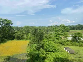Kaz Heights - Image 5
