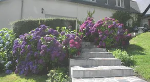 Les Etangs de Pitié - Image 4