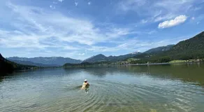 Gosau Apartment 006 - Image 3