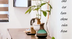 DeHa Homestay - Image 5