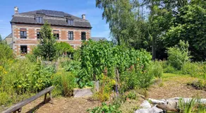 Aubépine - Image 4