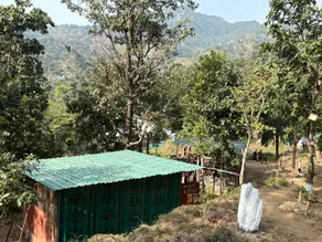 uddibabafarmcamp&cafe - Image 4